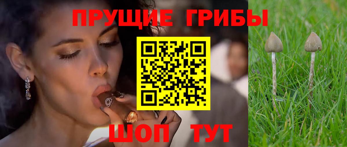 Галлюциногенные грибы ЛСД Ачхой-Мартан